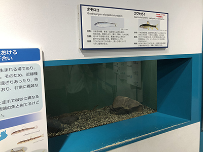 r6_event_r6biwako_biwako02_r400