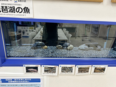 r6_event_r6biwako_osaka03_r400