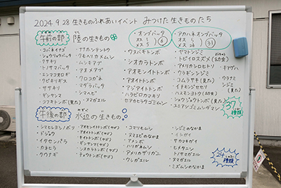 r6_event_r6fureai10_r400