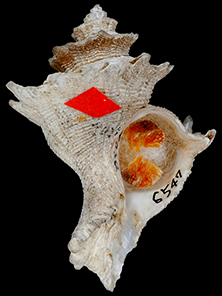 r6_event_r6kainuma3_r222