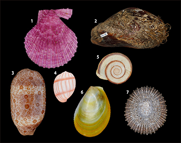 r6_event_r6kainuma4_r375