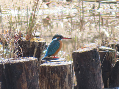 r6_event_r6tenji02_r400