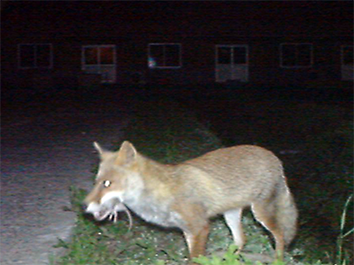 r6_event_r6tenji03_r400