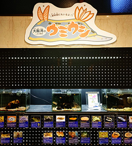 r6_event_r6umiushi2_r272