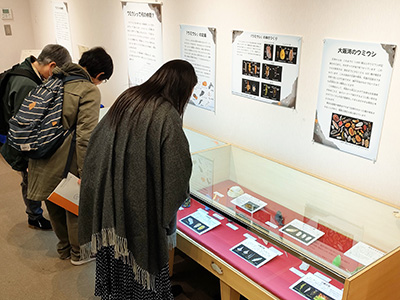 r6_event_r6umiushi2_r400