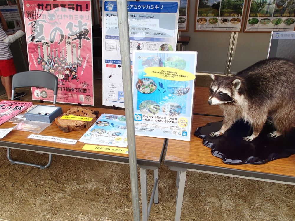 r7_event_070608kankyoufair1