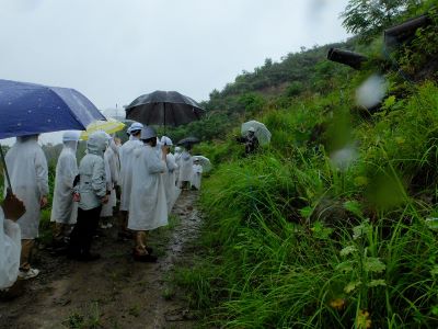 r7_event_070611adoptforest2