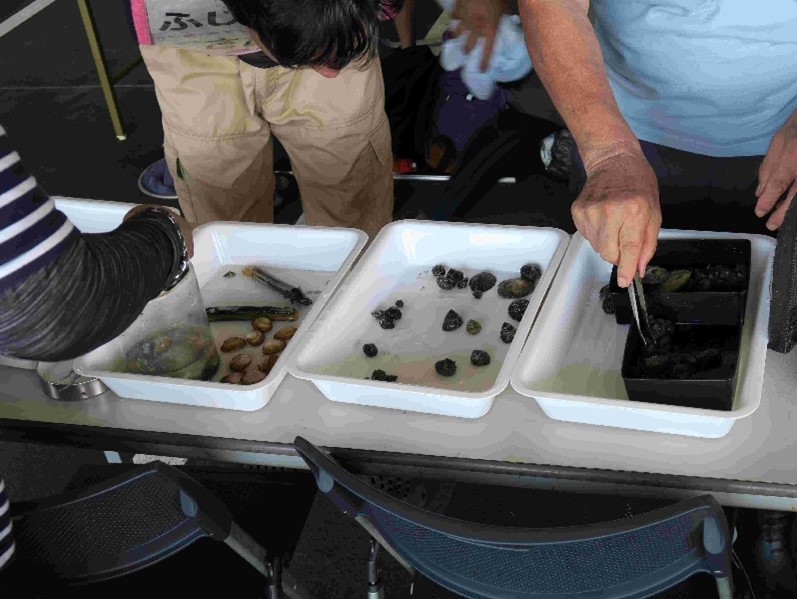 r7_event_070726hannan2ku5